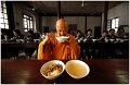 841 - eat together - DING Zheng - china